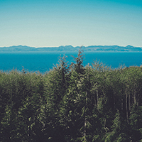 在线短信轰炸平台