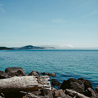 企业授权版的电话群发平台