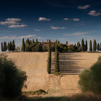 短信轰在线网页版入口